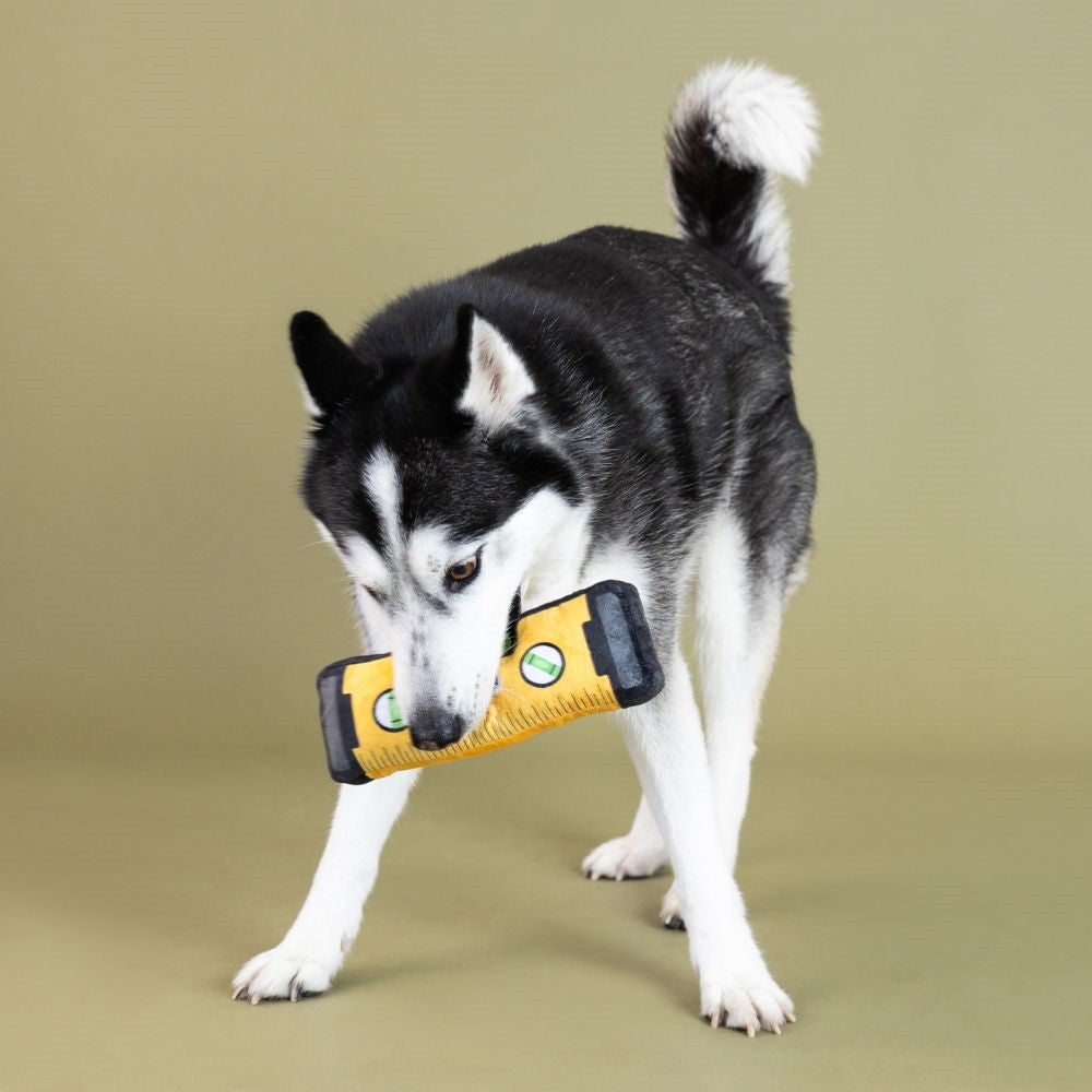 Let Me Level With You Dog Plush Toy