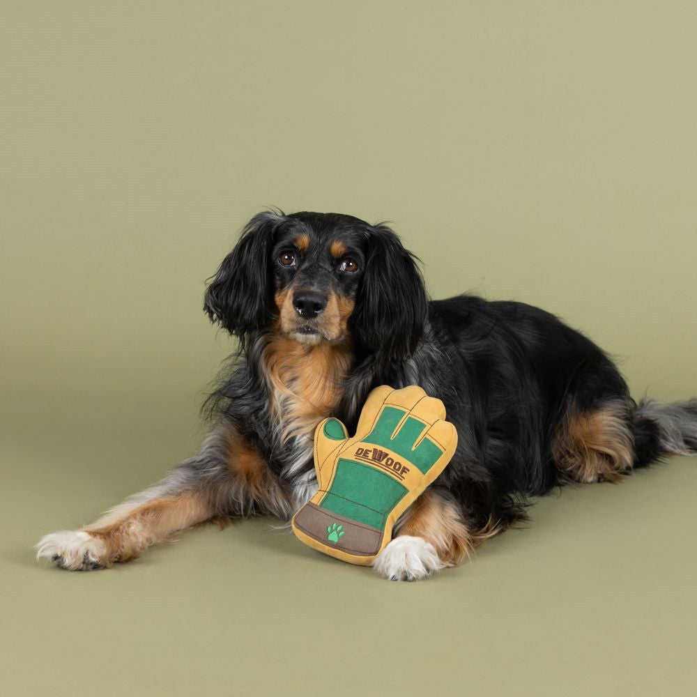 Need A Hand Dog Plush Toy