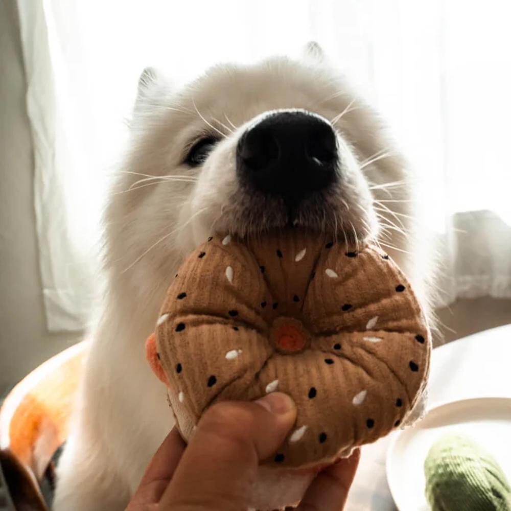 Snuffle Bagel With Pickle Dog Toy