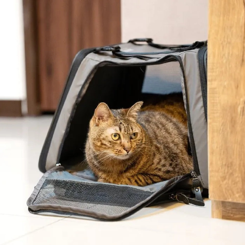 Carrier For Pets