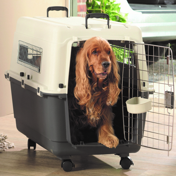 Savic Andes 5 Carrier for Dogs and Cats (Ivory)
