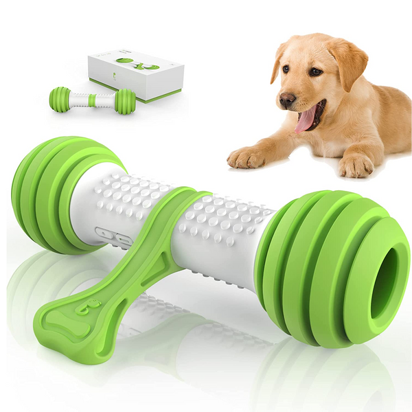 Pet Geek Playbone Toy for Dogs (White/Green)