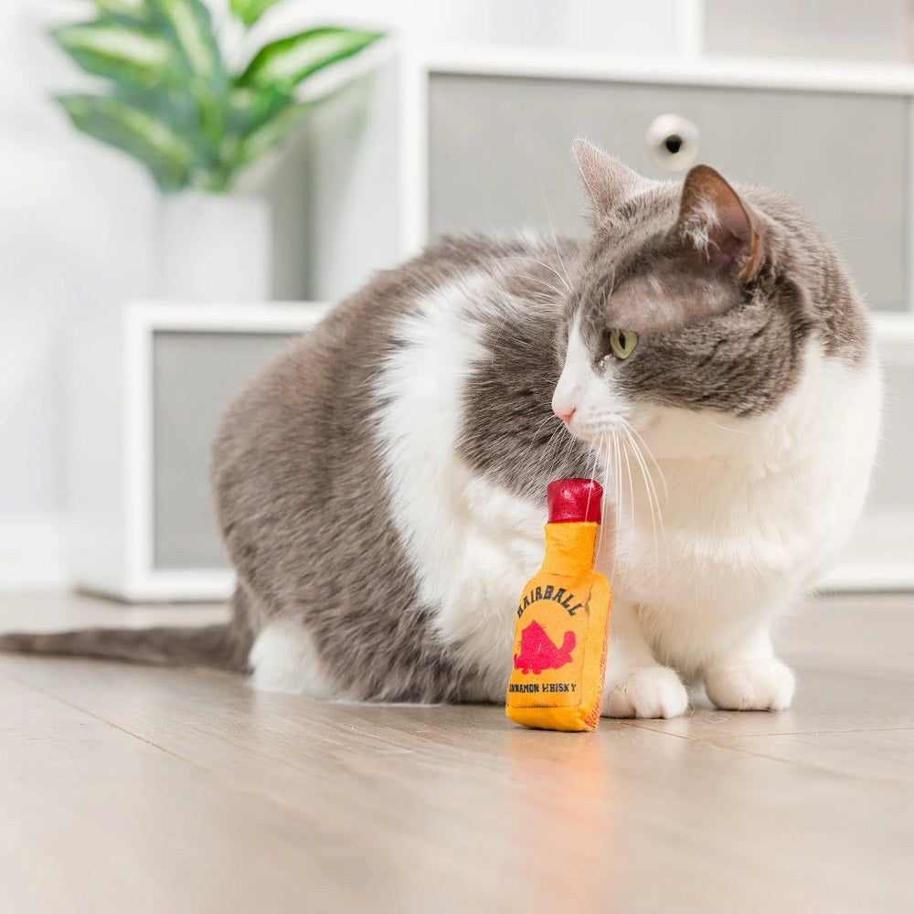Hairball Whisky Cat Teaser
