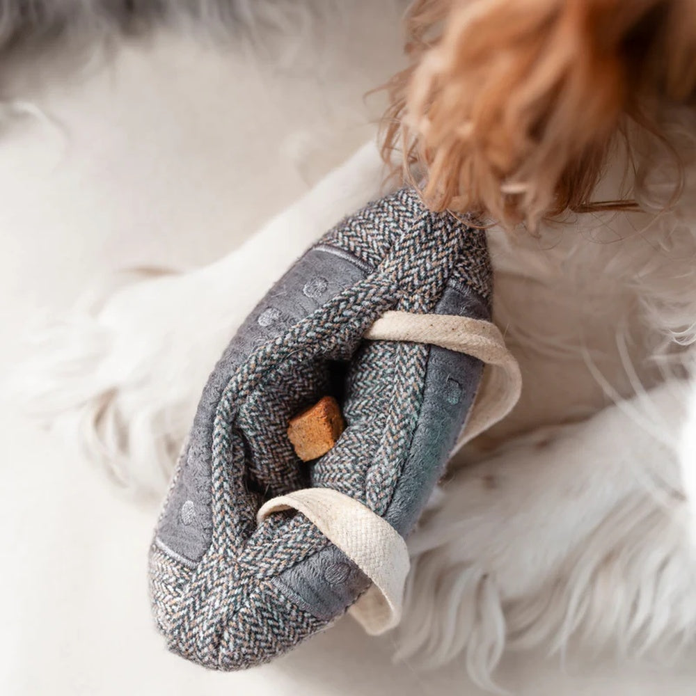 Cassette Snuffle + Squeaky Dog Toy