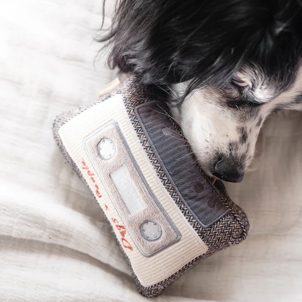 Cassette Snuffle + Squeaky Dog Toy