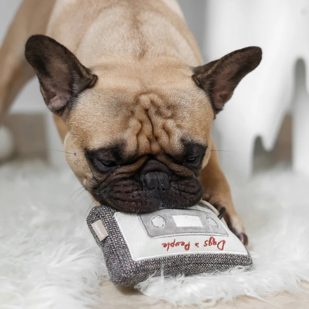 Cassette Snuffle + Squeaky Dog Toy