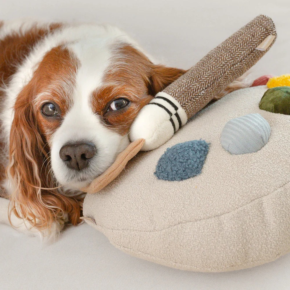 Colour Palette Set Cushion + Toss Dog Toy
