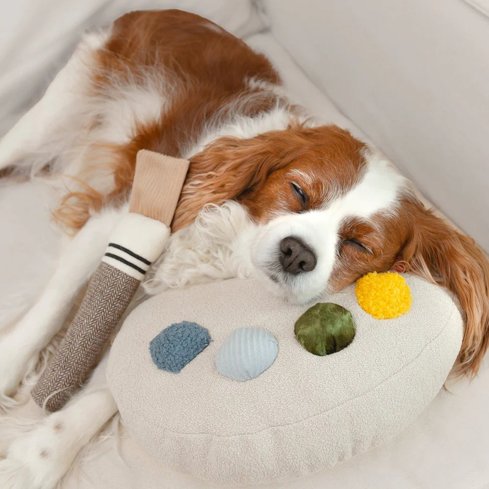 Colour Palette Set Cushion + Toss Dog Toy