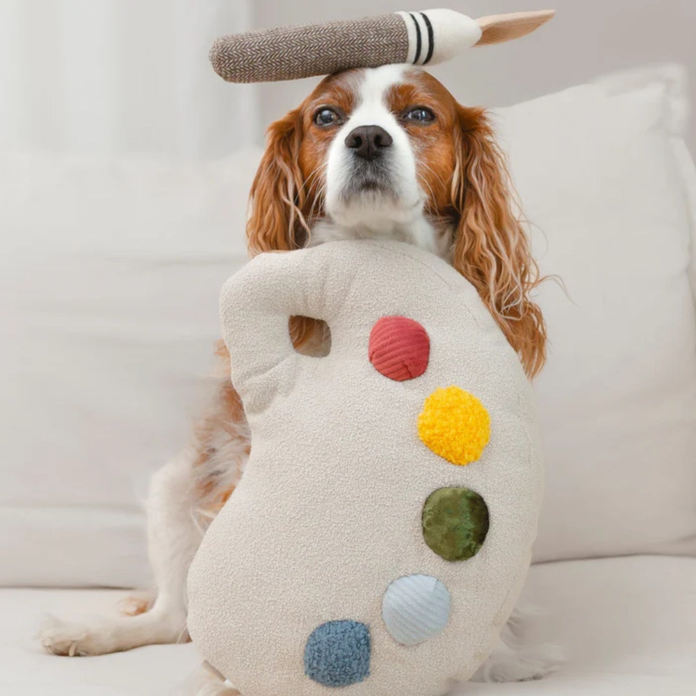 Colour Palette Set Cushion + Toss Dog Toy
