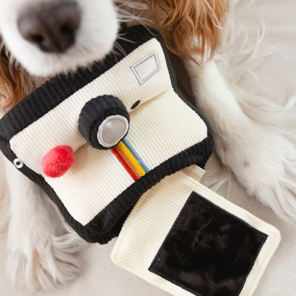 Instant Camera Snuffle + Squeaky Dog Toy