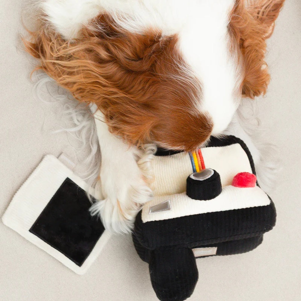 Instant Camera Snuffle + Squeaky Dog Toy
