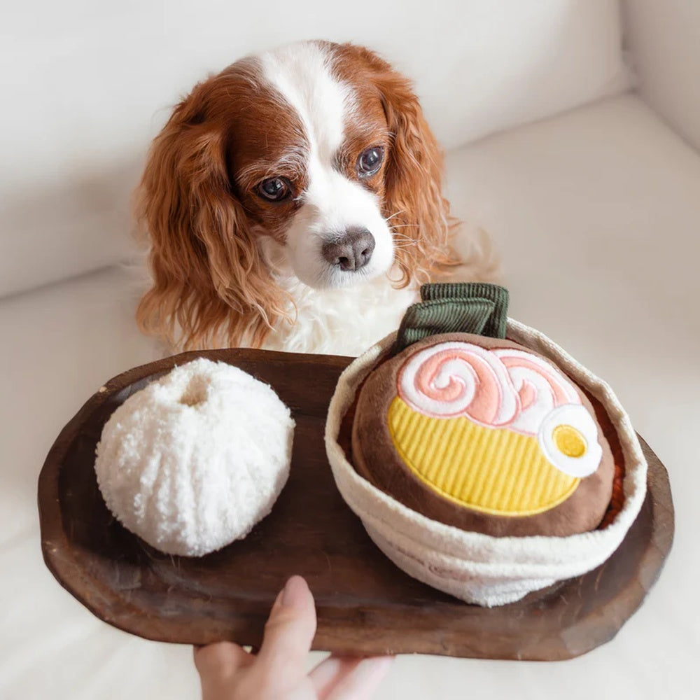 Ramen Snuffle + Squeaky Dog Toy