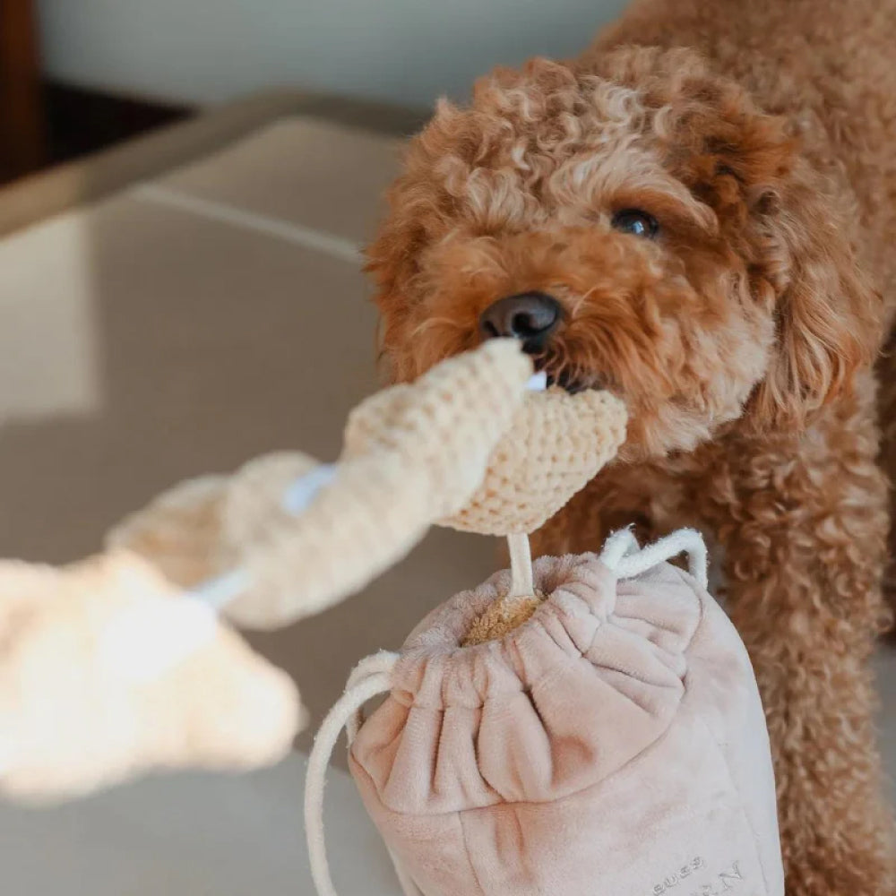 Popcorn Nosework Dog Plush Toy