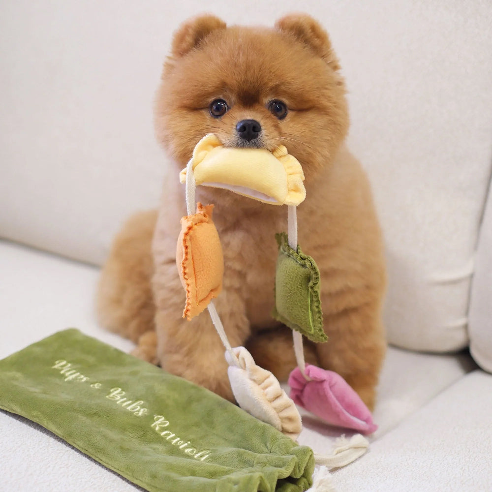 Ravioli Nosework Dog Plush Toy