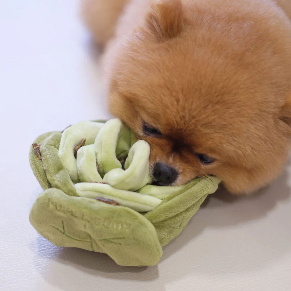 Snuffle Cabbage Nosework Dog Plush Toy