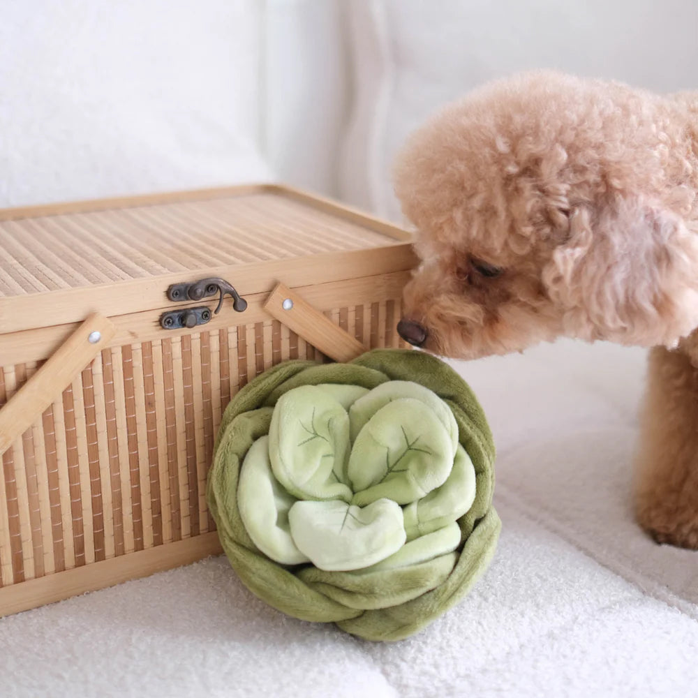 Snuffle Cabbage Nosework Dog Plush Toy