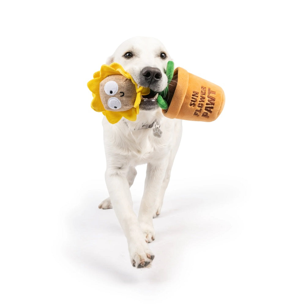 Sunflower Pawt Dog Plush Toy