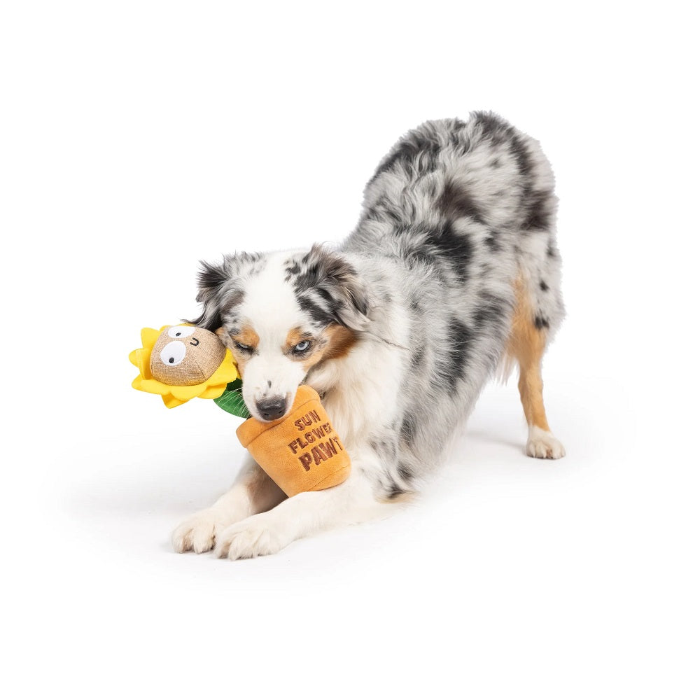 Sunflower Pawt Dog Plush Toy