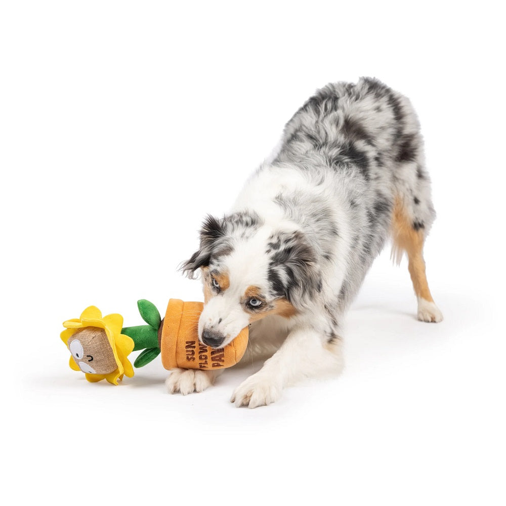 Sunflower Pawt Dog Plush Toy