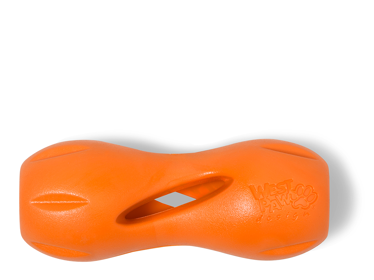 Qwizl Dog Treat Toy