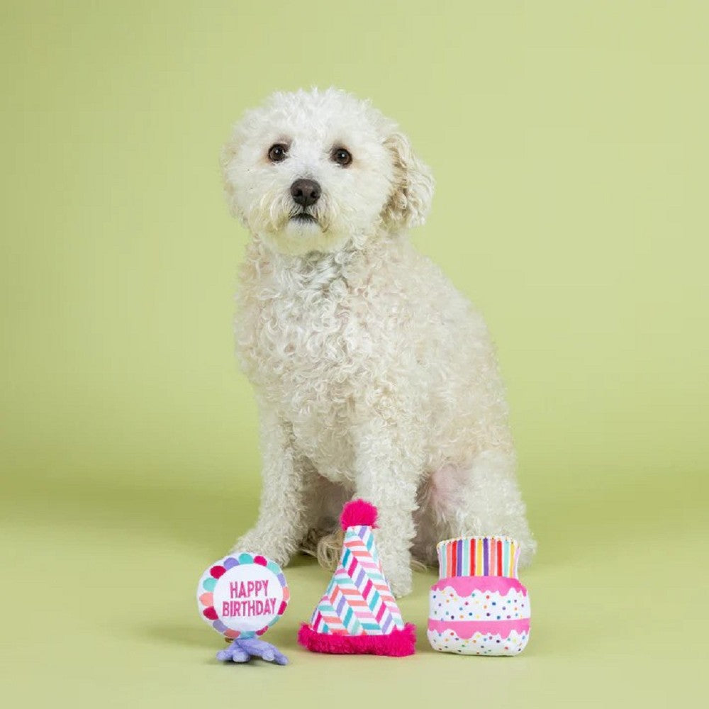 Birthday - Can I Get A Woof Woof Dog Plush Toy