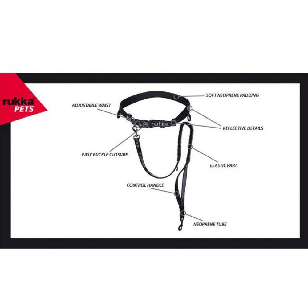 Running Belt And Dog Leash
