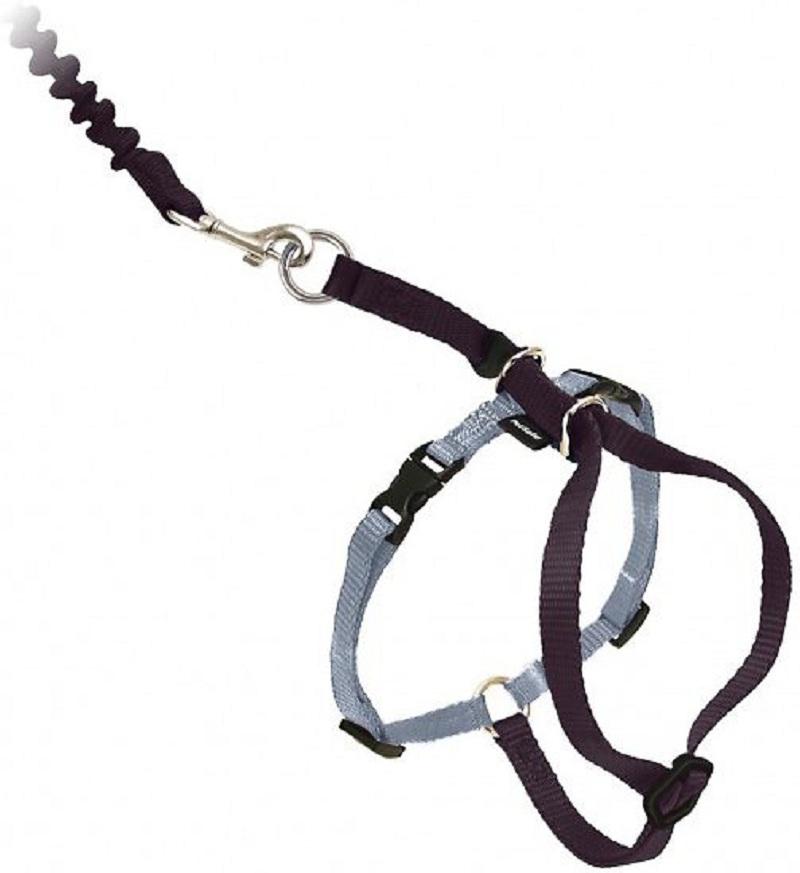 Come With Me Kitty Harness And Bungee Leash
