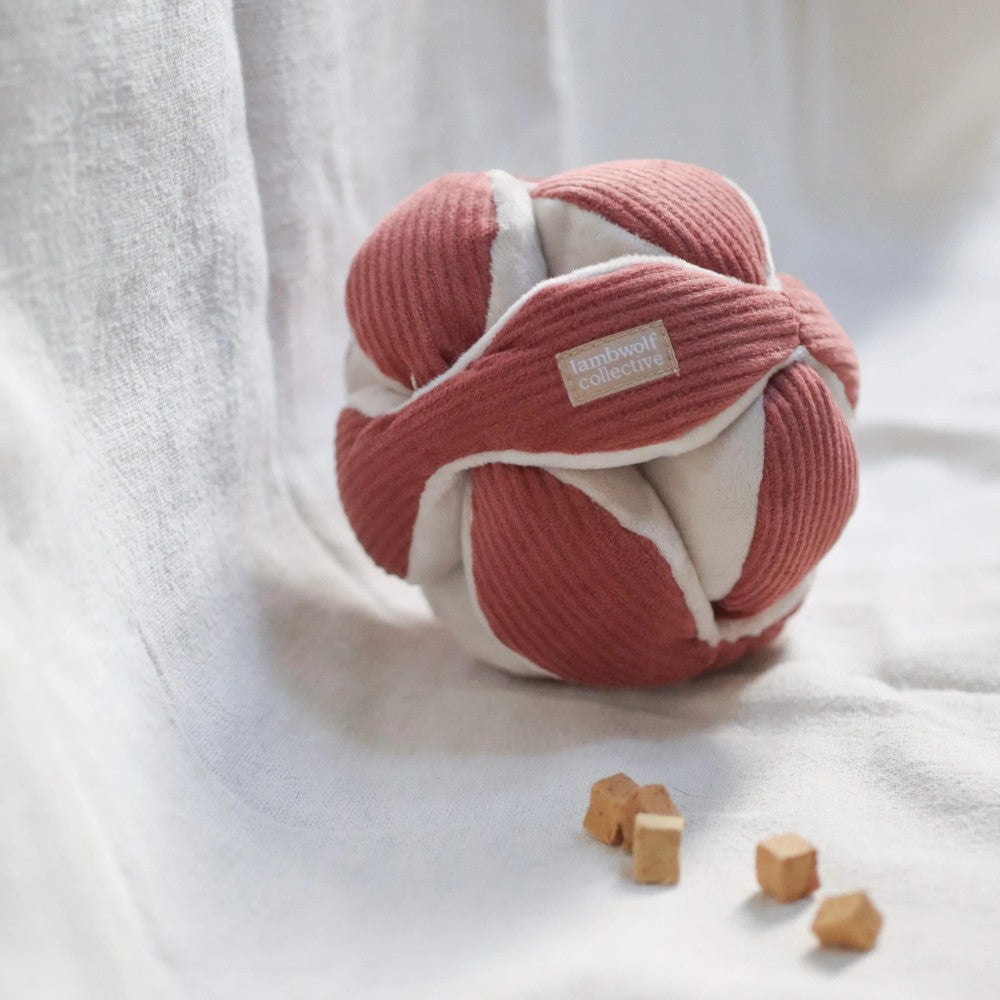 Monti-Crinkly And Squeaky Snuffle Ball Dog Toy