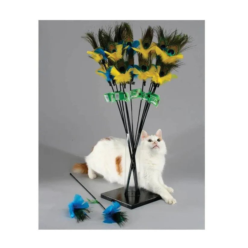 Peacock Feather Toy