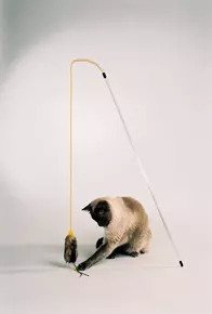 PURRfect Cat Toy With Feather