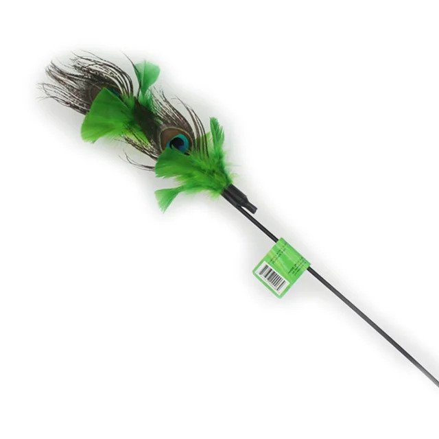 Peacock Feather Toy