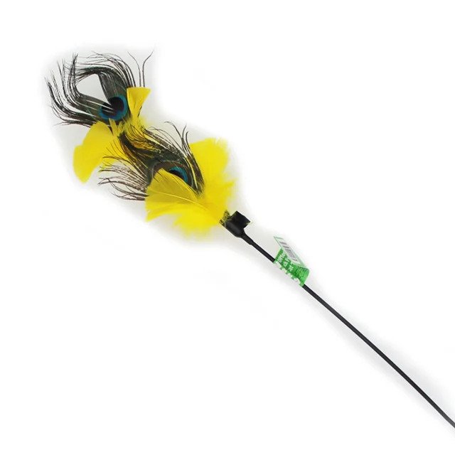 Peacock Feather Toy