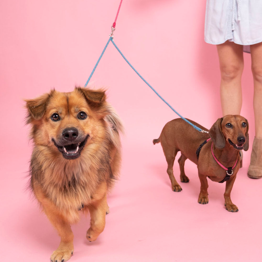 Coupler Leash - Leisure Style