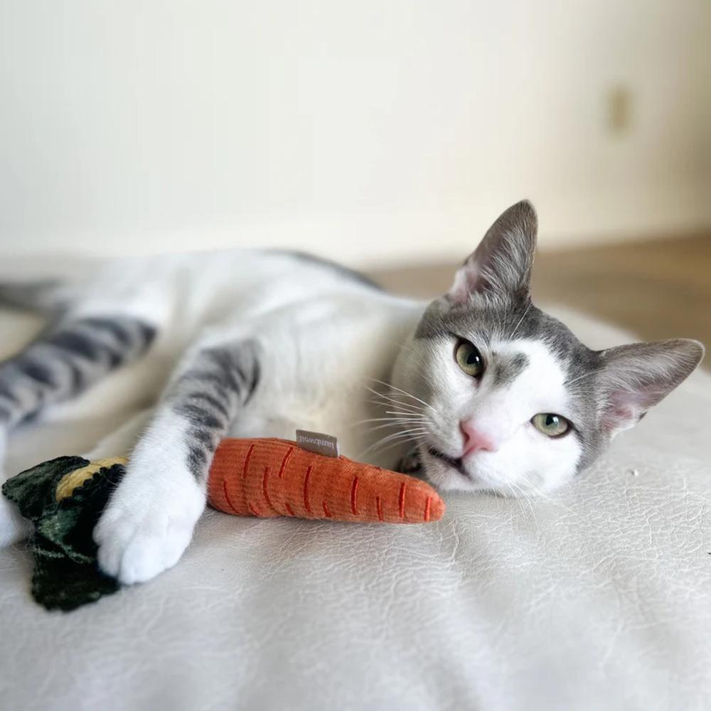 Baby Carrot Set Of 2 Pcs Cat Toy