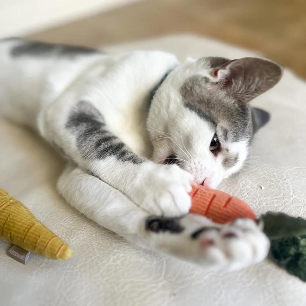 Baby Carrot Set Of 2 Pcs Cat Toy