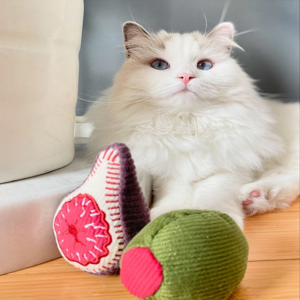 Olive With Fig Cat Toy