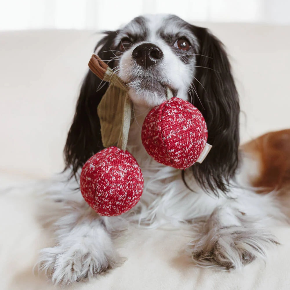 Cherry Pop Set Of 2 Pcs Dog Toy