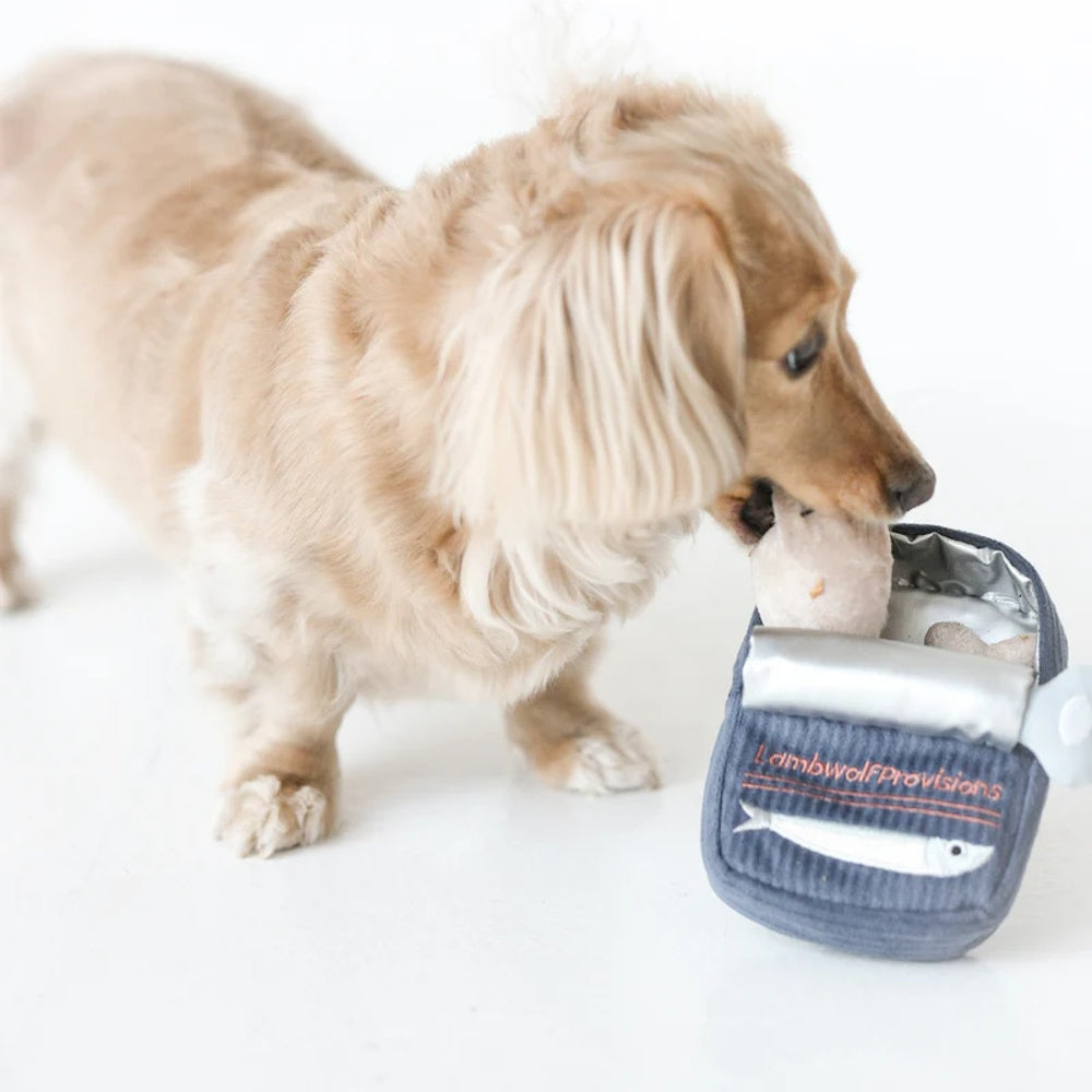 Burrow Sardines Dog Toy
