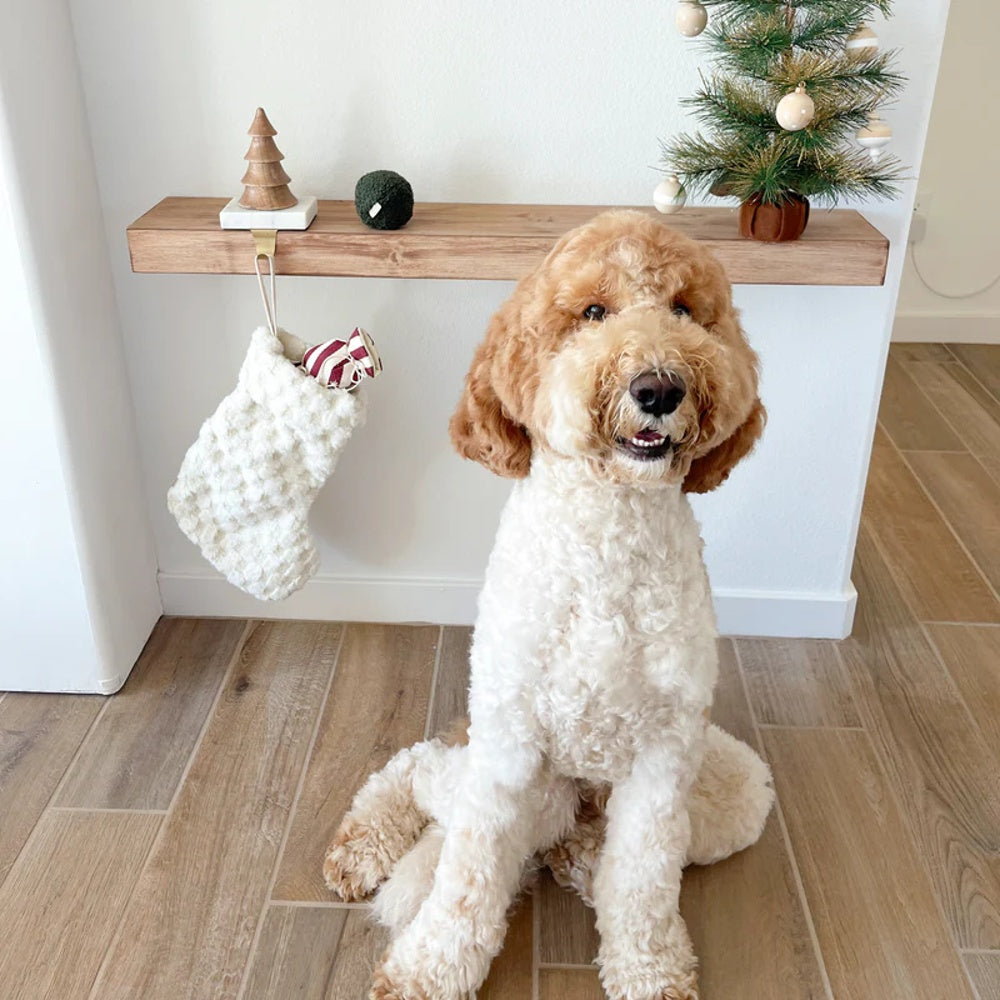 Xmas Stocking Set Of 3 Pcs Dog Toy