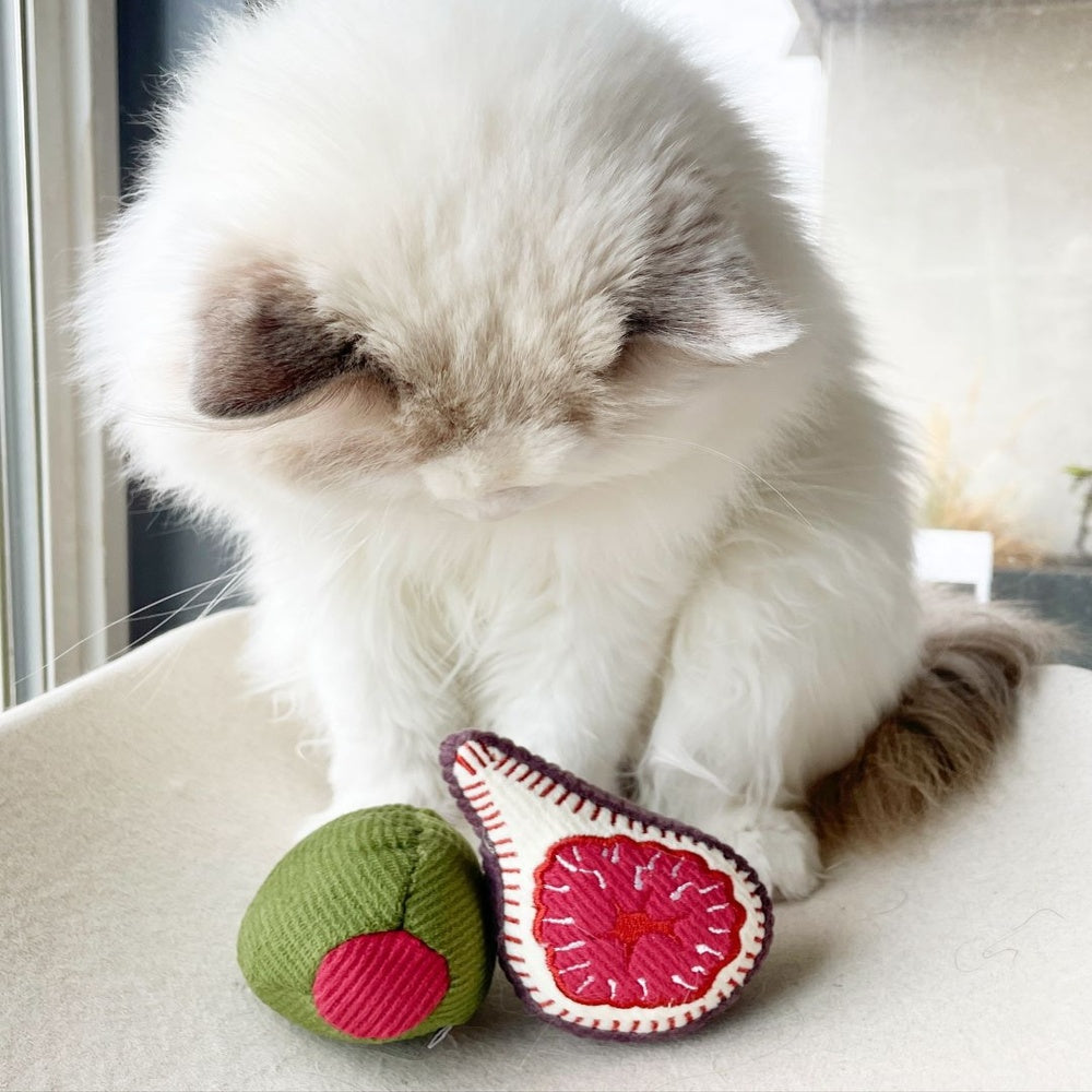 Olive With Fig Cat Toy
