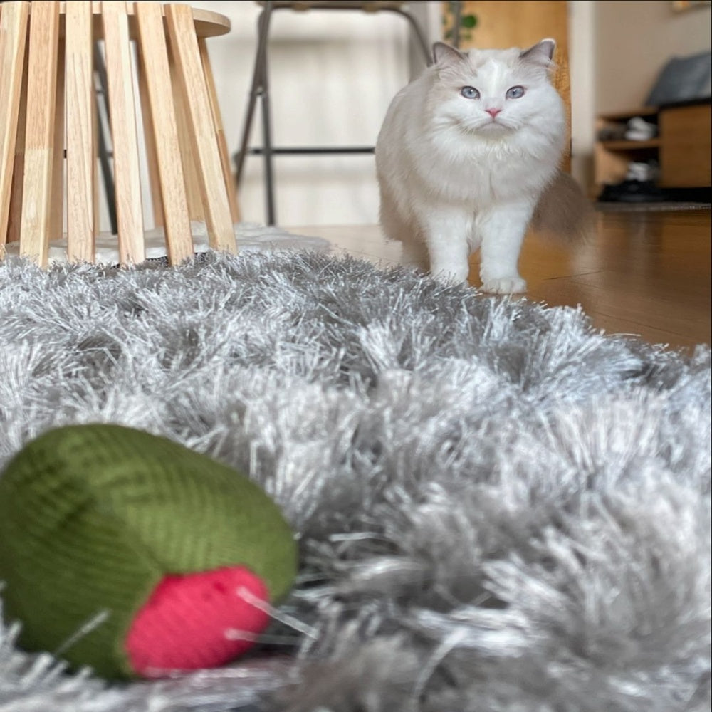 Olive With Fig Cat Toy