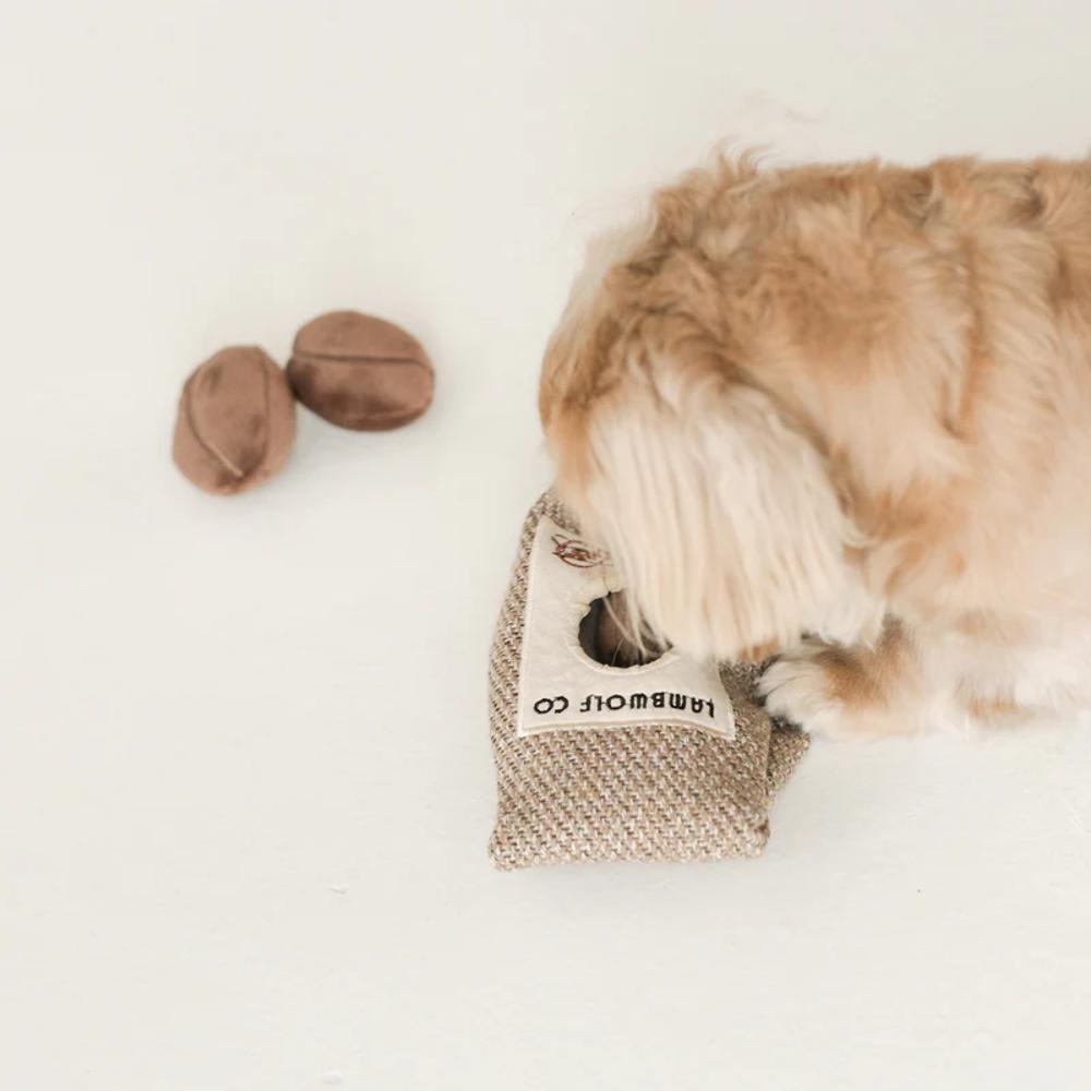 Burrow Coffee Beans Set Of 4 Pcs Dog Toy