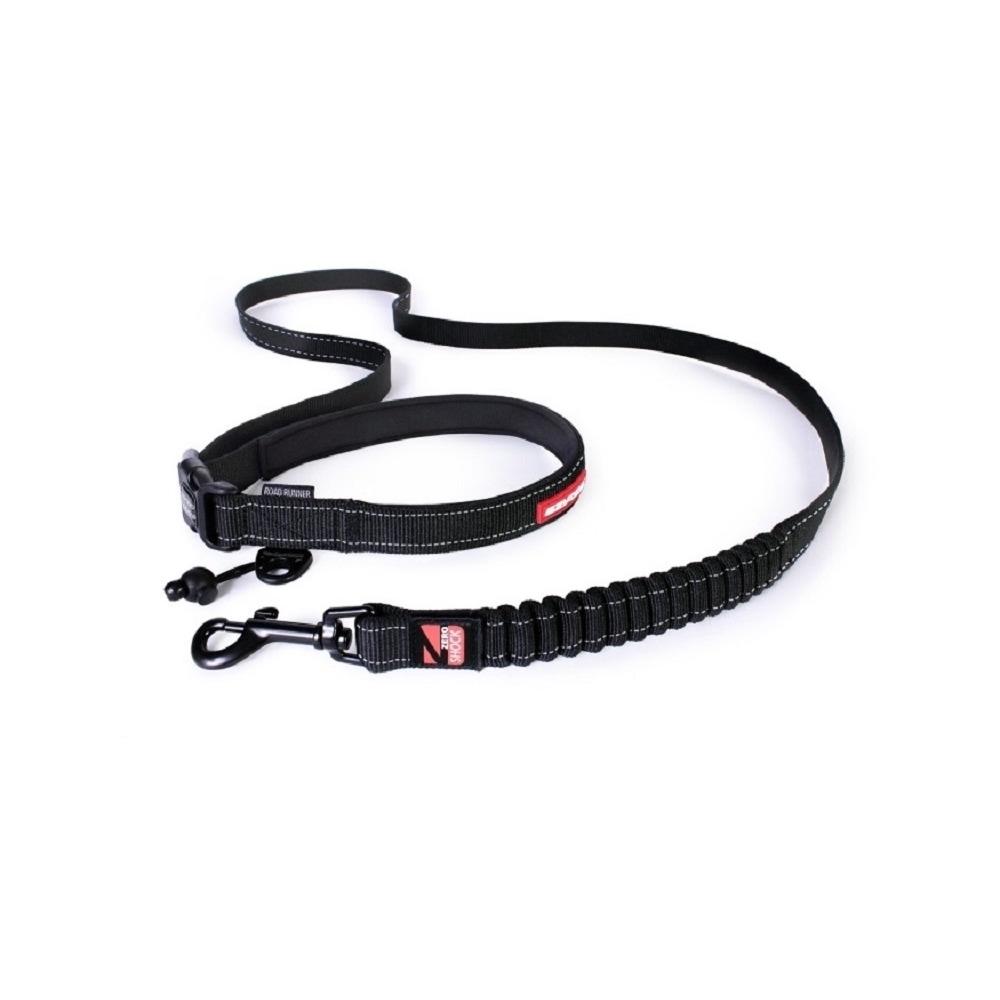 Road Runner Dog Leash