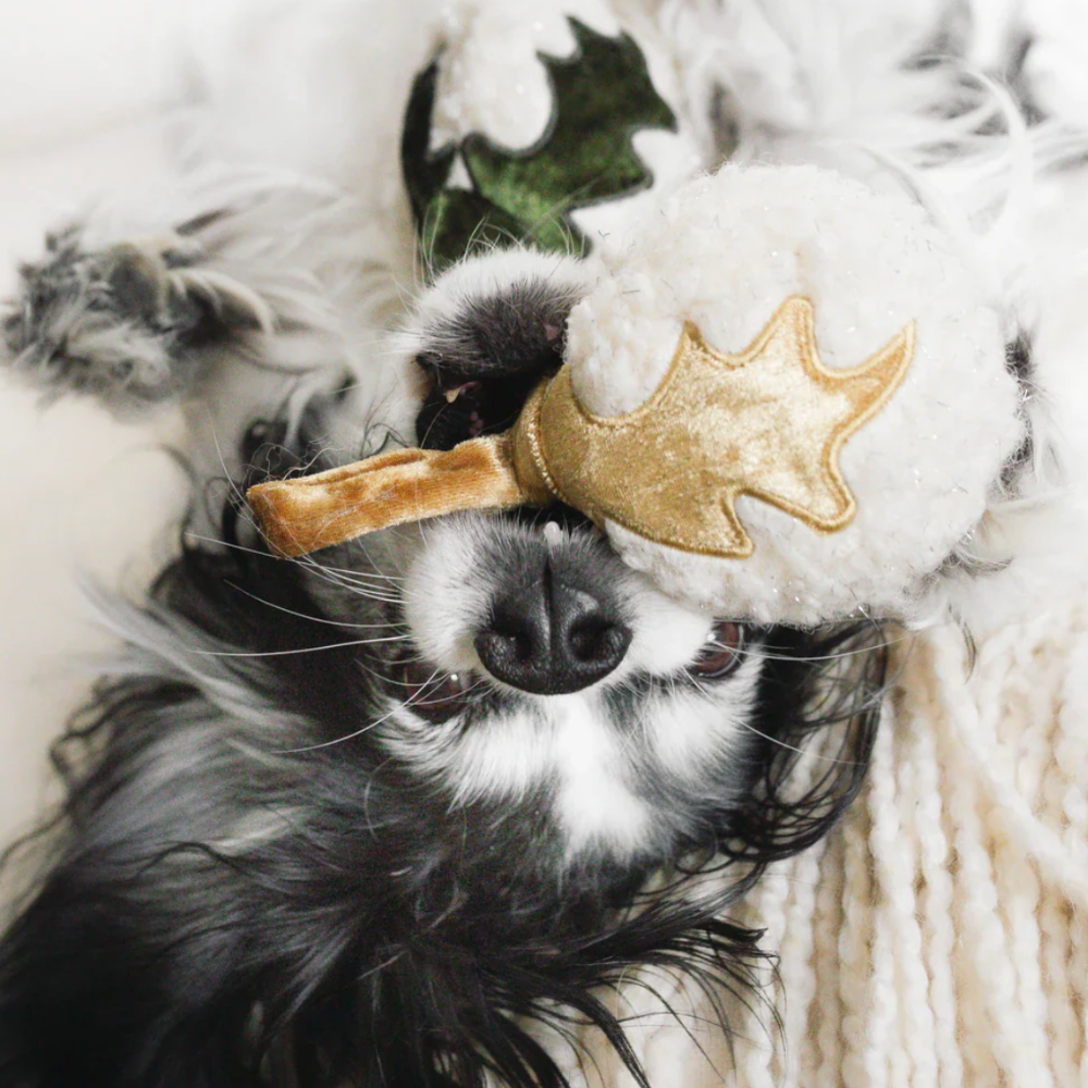 Xmas Blubs Dog Toy